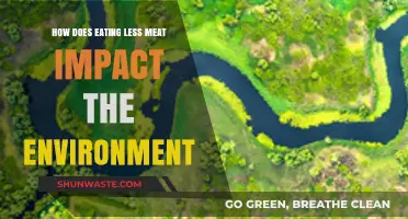 Reducing Meat Consumption: A Powerful Step Toward Environmental Sustainability