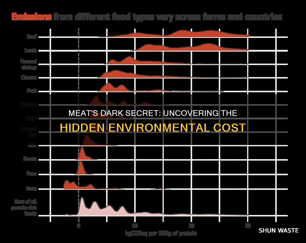 how does eating meat cause pollution