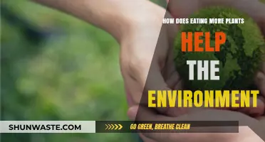 Eating More Plants: A Powerful Way to Protect Our Planet