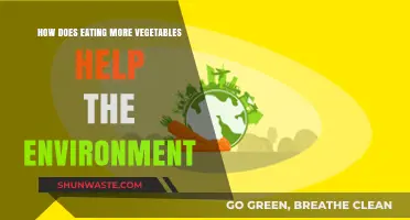 Eating More Vegetables: A Simple Way to Help the Environment