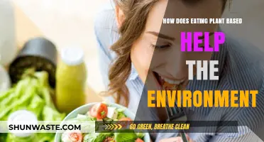 Plant-Based Diets: A Powerful Tool for Environmental Sustainability