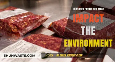 Red Meat's Environmental Impact: Uncovering the Hidden Costs of Consumption