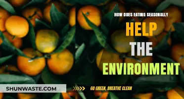 Eating Seasonally: A Simple Way to Support Environmental Sustainability