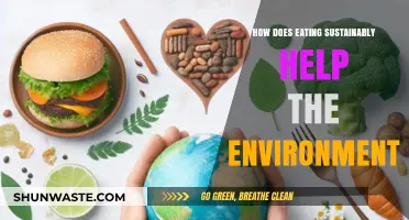 Sustainable Eating: How Your Plate Protects the Planet