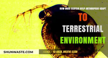Ecdysis: Arthropods' Key Adaptation for Terrestrial Survival and Growth