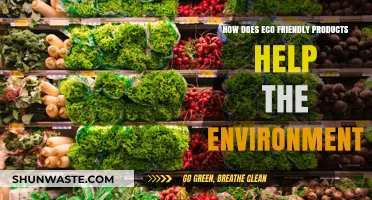 Eco-Friendly Products: Sustainable Choices for a Healthier Planet