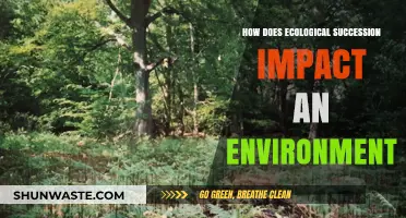 Ecological Succession: Transforming Ecosystems and Shaping Environmental Dynamics