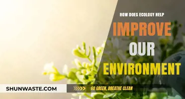 Ecology's Role in Enhancing Environmental Health and Sustainability