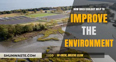 Ecology's Role in Restoring and Enhancing Our Environment