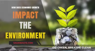 Economic Growth vs. Environmental Sustainability: Balancing Progress and Planet