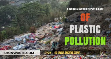 The Economics of Plastic Pollution: Who Pays the Price?