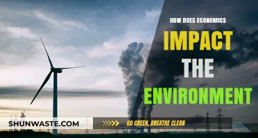 Economic Policies and Their Environmental Consequences: A Comprehensive Analysis
