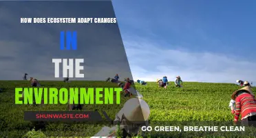 Ecosystem Resilience: Adapting to Environmental Changes and Thriving