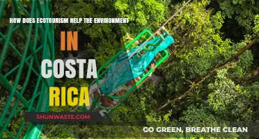 Ecotourism's Impact: How Costa Rica's Green Travel Protects Nature