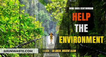 Ecotourism's Environmental Impact: Preserving Nature, Empowering Communities, and Promoting Sustainability