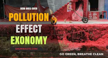 Eiver Pollution: Impacting Economy and Environment