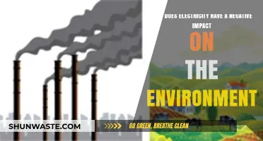 Electricity's Environmental Toll: Uncovering the Hidden Ecological Consequences