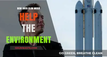 Elon Musk's Green Revolution: Sustainable Innovations for a Better Planet
