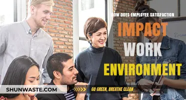 Employee Satisfaction: The Key to a Positive Work Environment