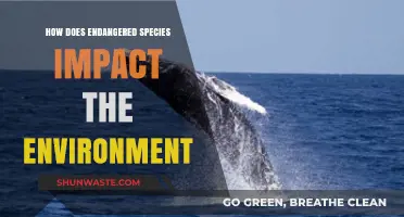Endangered Species: Their Vital Role in Ecosystem Balance and Health