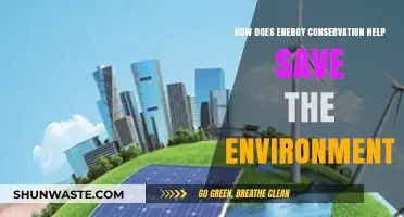 Energy Conservation: A Powerful Tool to Protect Our Environment