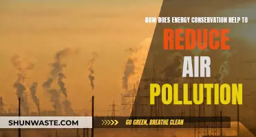 Energy Conservation: Reducing Air Pollution, Improving Our Health