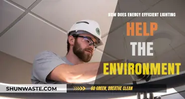 Energy Efficient Lighting: A Bright Solution for Environmental Sustainability