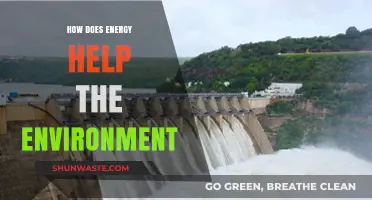 Sustainable Energy Solutions: How Power Protects and Preserves Our Planet