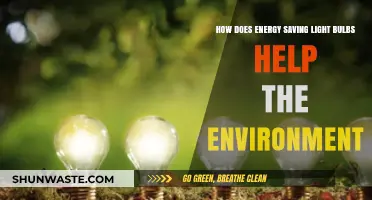 Energy-Efficient Lighting: How LED Bulbs Reduce Carbon Footprint and Protect Nature
