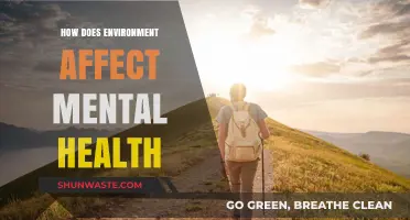 Environment's Impact: Unraveling Nature's Role in Shaping Mental Well-being