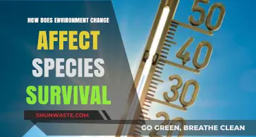 Environmental Shifts: Impacts on Species Survival and Adaptation Strategies