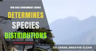 Environmental Shifts: Unraveling the Impact on Species Distribution Patterns