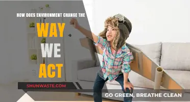 Environment's Impact: Shaping Behavior and Influencing Human Actions