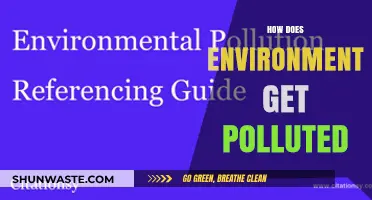 The Polluted World: Understanding Environmental Degradation