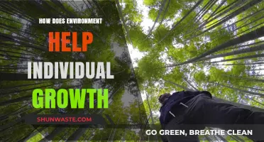 Nurturing Potential: How Environments Foster Personal Growth and Development