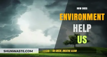 How Our Environment Sustains, Inspires, and Enriches Human Life Daily