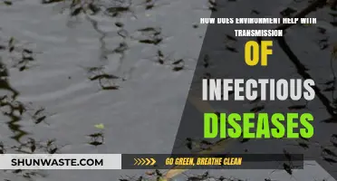 Environmental Factors: Key Drivers in Spreading Infectious Diseases