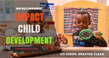Environment's Role in Shaping Child Development: Key Factors and Insights