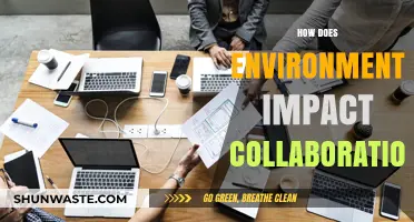 Environment's Role: Shaping Collaboration Dynamics and Team Productivity
