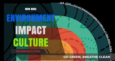 Environment's Influence: Shaping Cultural Norms, Traditions, and Identities Globally