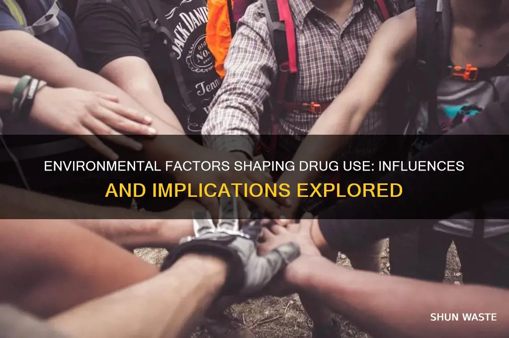 how does environment impact drug use