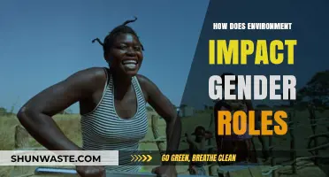 Environment's Influence: Shaping Gender Roles and Societal Norms