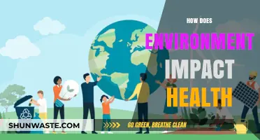 Environmental Factors: Uncovering the Hidden Links to Human Health