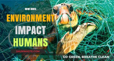 Environmental Influence: Shaping Human Health, Behavior, and Well-being