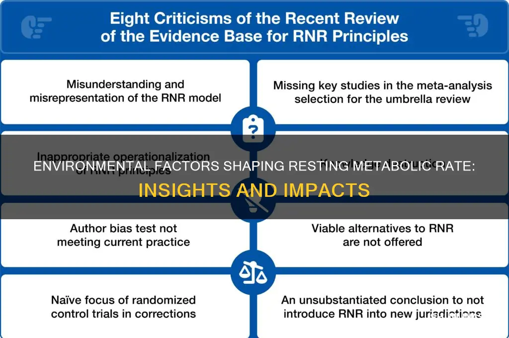 how does environment impact rmr