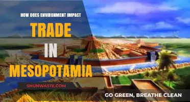 Mesopotamia's Trade Dynamics: Environmental Influences on Ancient Commerce
