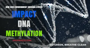 Environmental Smoking Stress: Unraveling DNA Methylation Changes and Health Impacts