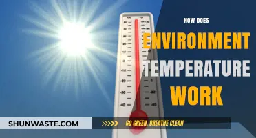 Understanding Environmental Temperature: How It Works and Impacts Our World