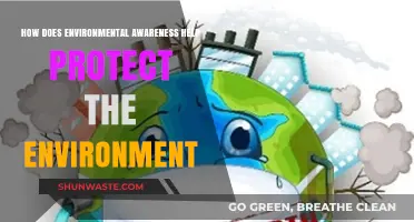 Environmental Awareness: Empowering Actions to Safeguard Our Planet's Future
