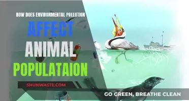 Environmental Pollution: Impacting Animal Populations' Health and Habitat